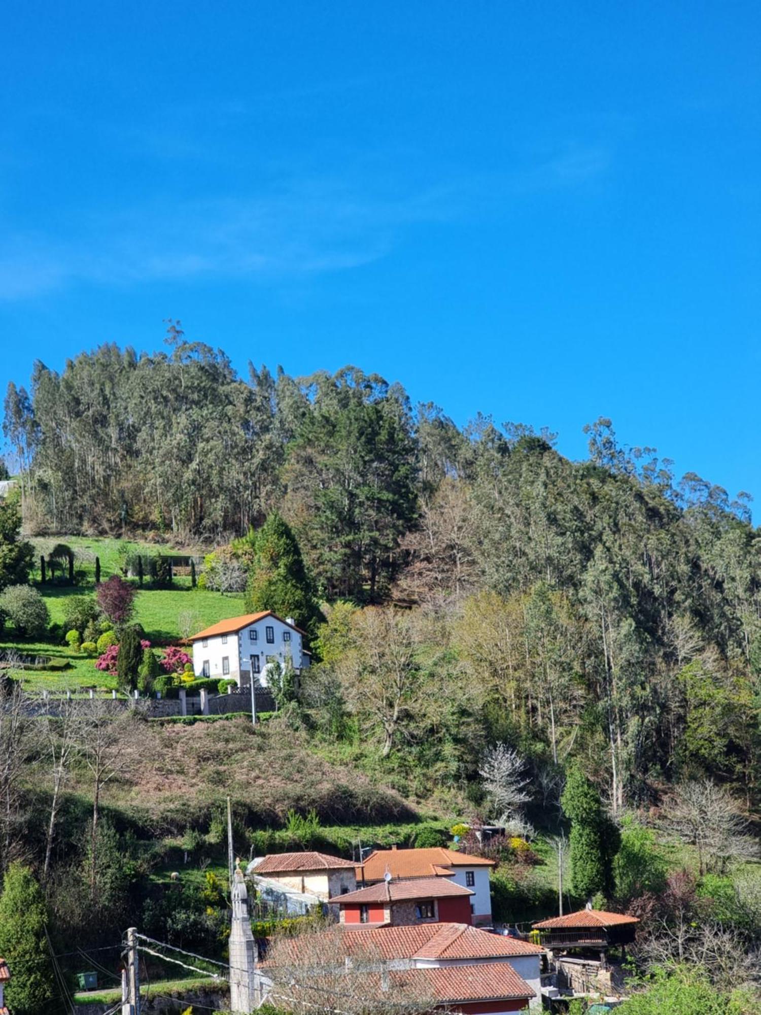 Apartamentos Rurales Corias Exteriér fotografie